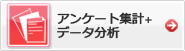 アンケート集計+データ分析