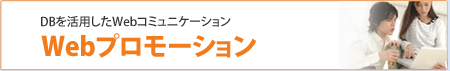DBを活用したWebコミュニケーション-Webプロモーション
