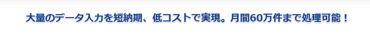 大量のデータ入力を短納期、低コストで実現。月間60万件まで処理可能！