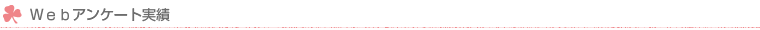 WEBアンケート実績