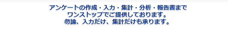 アンケートの作成、入力、集計、分析、報告書までワンストップでご提供しております。勿論、入力だけ、集計だけも承ります。